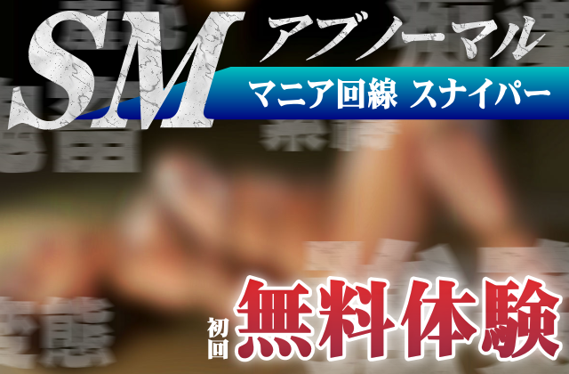 SMプレイツーショット・スナイパー